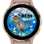 Spotted Seal · Screenshot 2