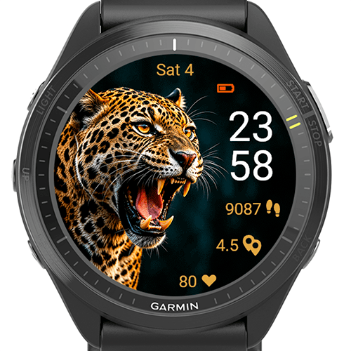 Savage Leopard G · Screenshot 0