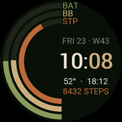 Arcs - Battery, Body Battery & Steps · Screenshot 0