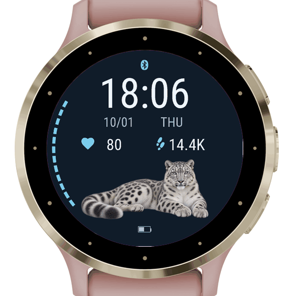 snow leopard · Screenshot 0