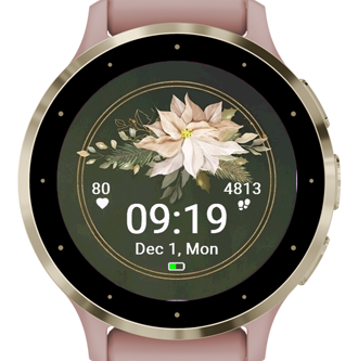 White Poinsettia · Screenshot 2