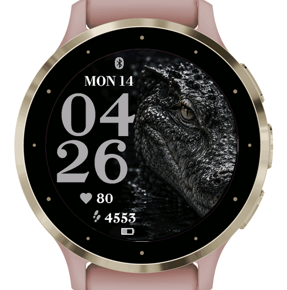 Silent Crocodile · Screenshot 0
