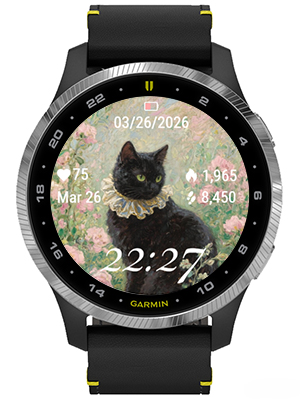 Elegant cat · Screenshot 0
