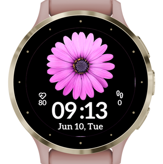 Violet P2 · Screenshot 0