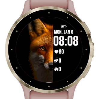 Orange Fox · Screenshot 3