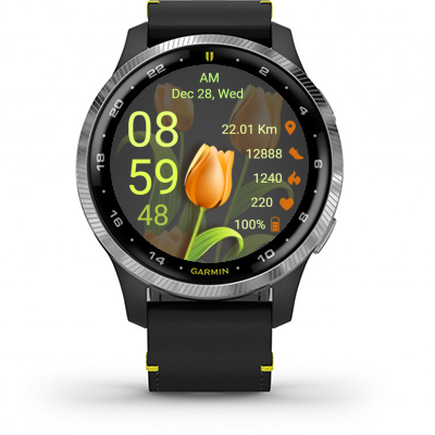 Tulip 02 · Screenshot 1