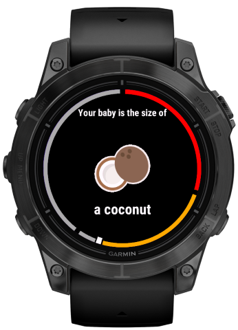 Pregnancy Widget · Screenshot 4