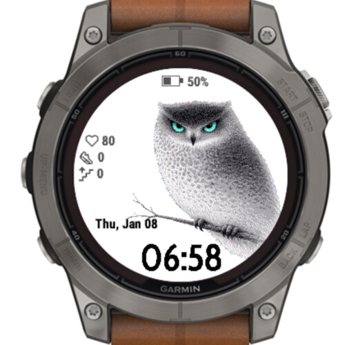 Silent Owl Focus · Screenshot 0