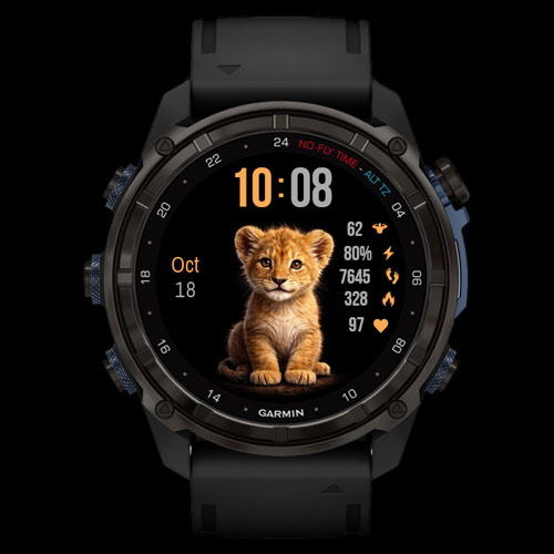 Lion Cub · Screenshot 0