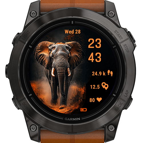 Elephant Force G · Screenshot 3
