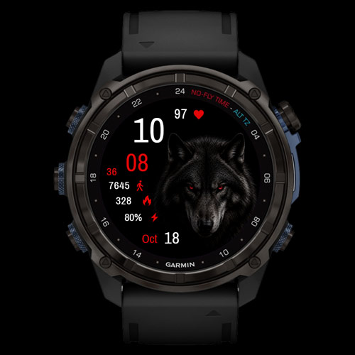 Dark Wolf 2