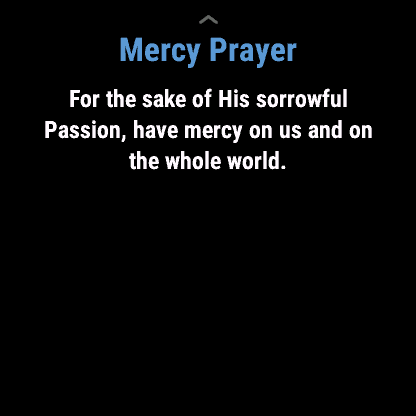 Divine Mercy Chaplet and Rosary · Screenshot 4