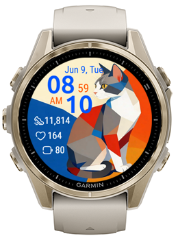 Geo Cat · Screenshot 3