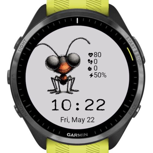 Funny Ant · Screenshot 2