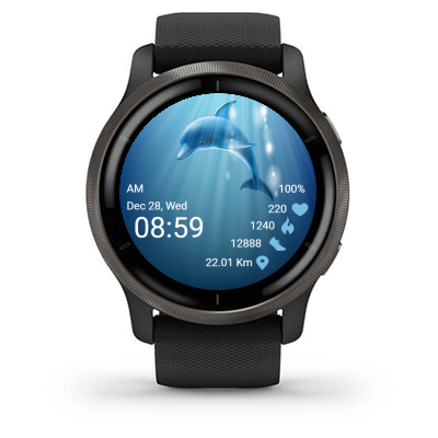 Dolphin · Screenshot 1