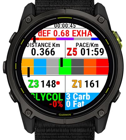 EnduroMetrics screenshot 2