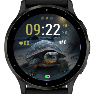 Night Tortoise · Screenshot 1