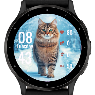 Beautiful Cat · Screenshot 0