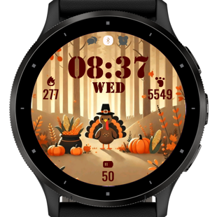 Thanksgiving Turkey · Screenshot 0