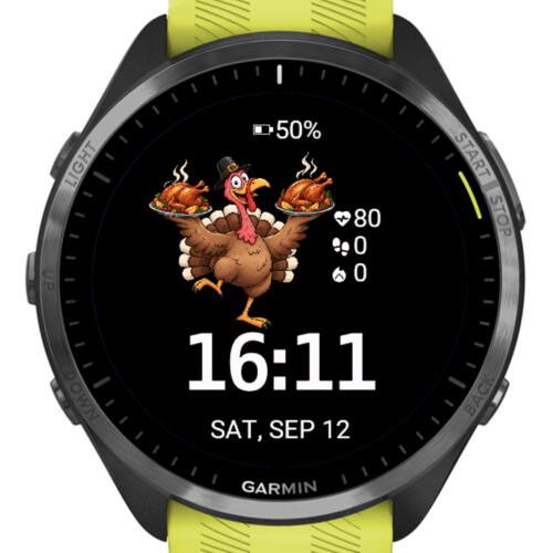 Thanksgiving Turkey · Screenshot 2