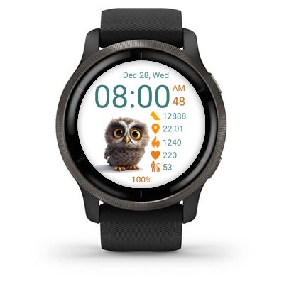 Bird - Owl · Screenshot 0