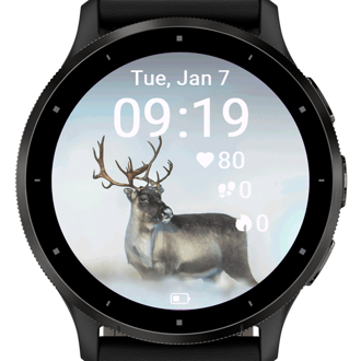 Arctic Deer · Screenshot 1