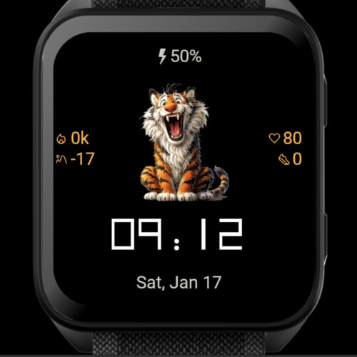 Funny Tiger 4