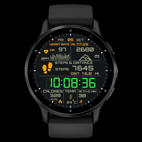 DIGITAL Ranger · Screenshot 3
