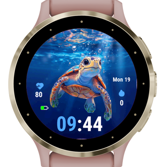 Turtle C2 · Screenshot 0