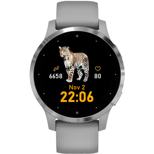 Jaguar · Screenshot 3