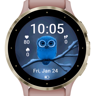Blue Owl · Screenshot 0