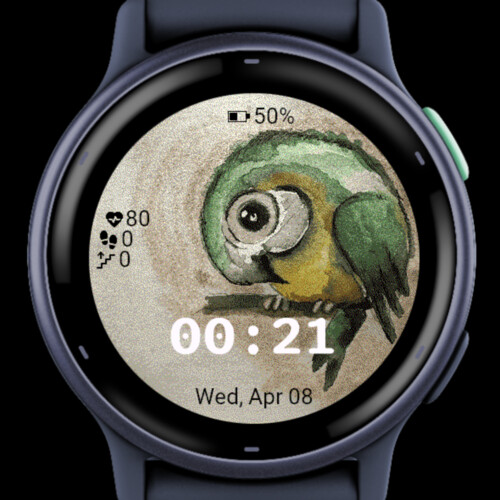 Little Parrot 2