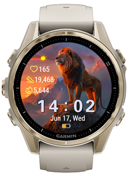 Lion Summit · Screenshot 3