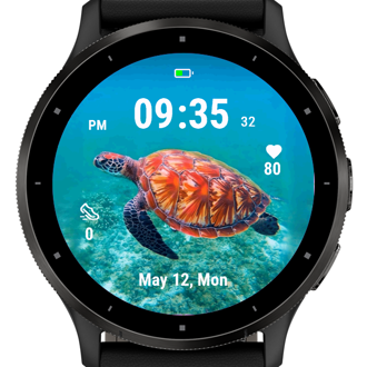 Coral Turtle · Screenshot 1
