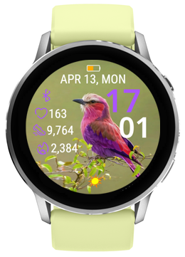 Violet Wren · Screenshot 3