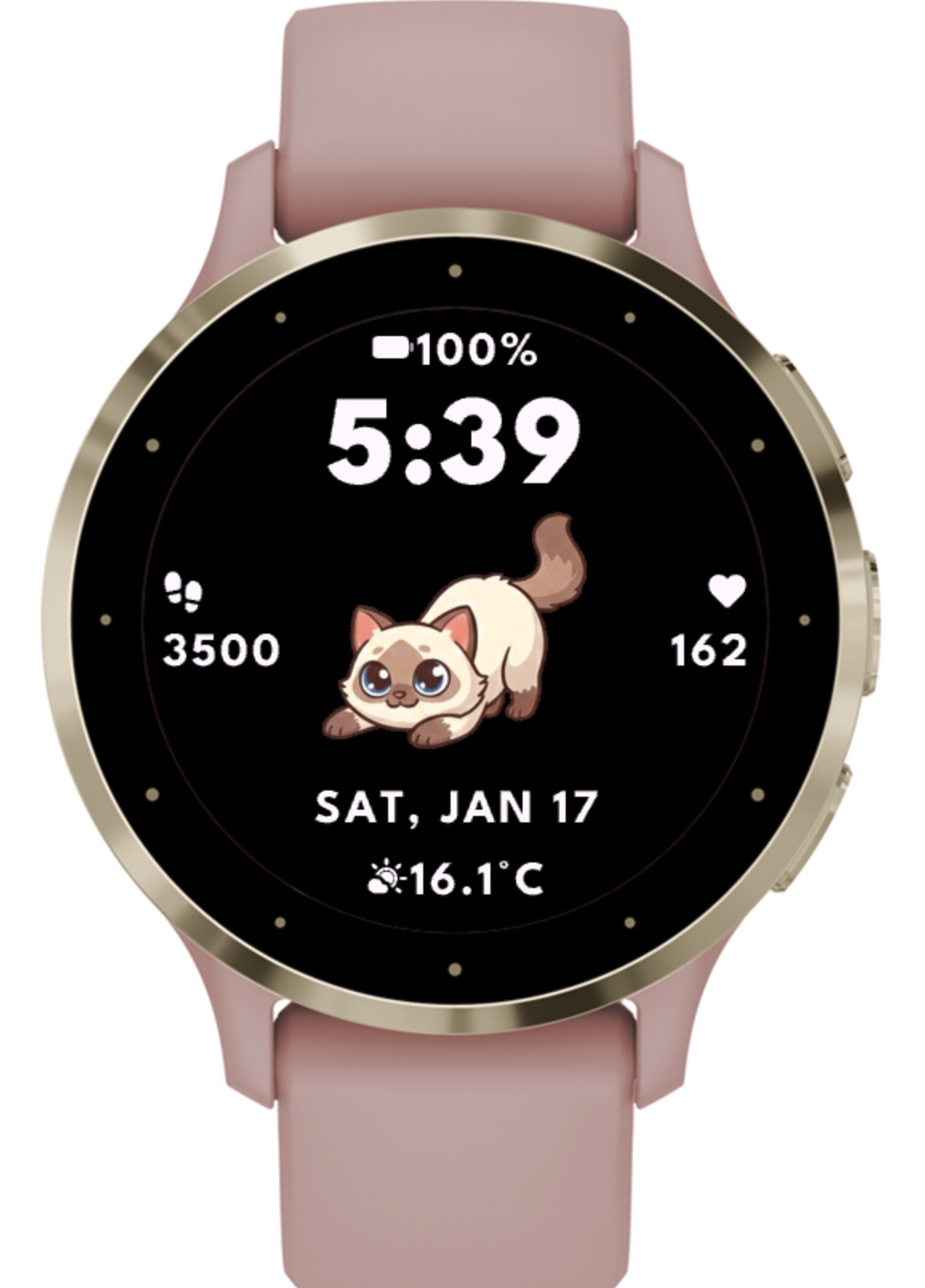 Ragdoll Cat (8 IN 1) · Screenshot 2