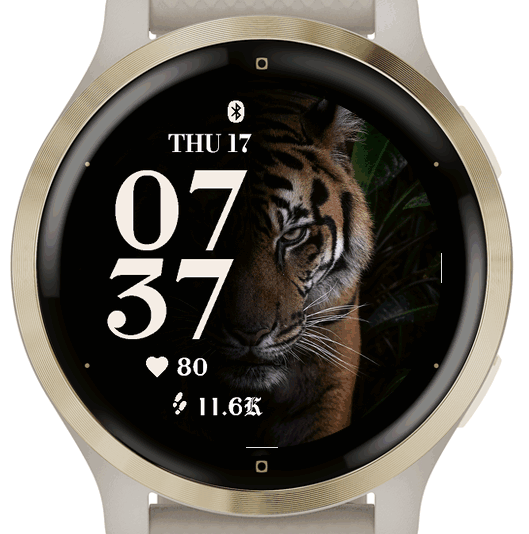 Tiger Noir · G · Screenshot 1