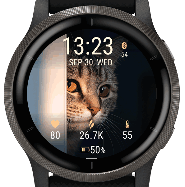 Cat Peek · Screenshot 3