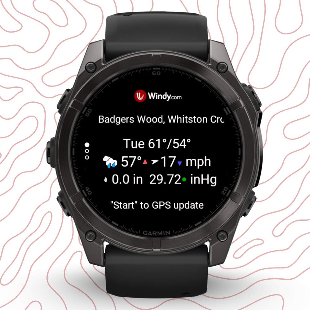 Windy.com Weather Widget 4