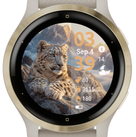 Snow Leopard · Screenshot 4
