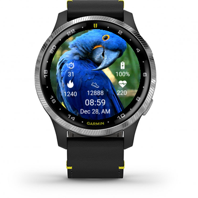 Hyacinth macaw · Screenshot 0