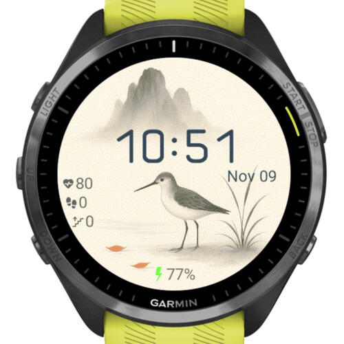 Silent Shore – Japanese Minimal Bird · Screenshot 1