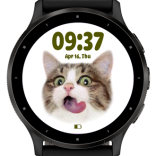 Funny kitty 4