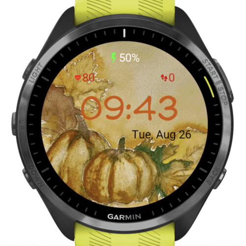 Autumn Pumpkin – Fall Harvest Theme · Screenshot 2