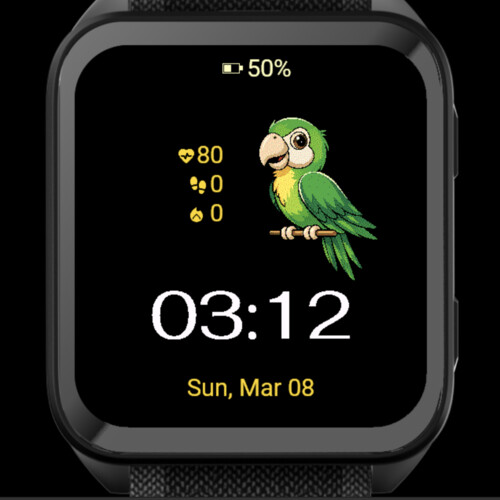 Green Parrot 3