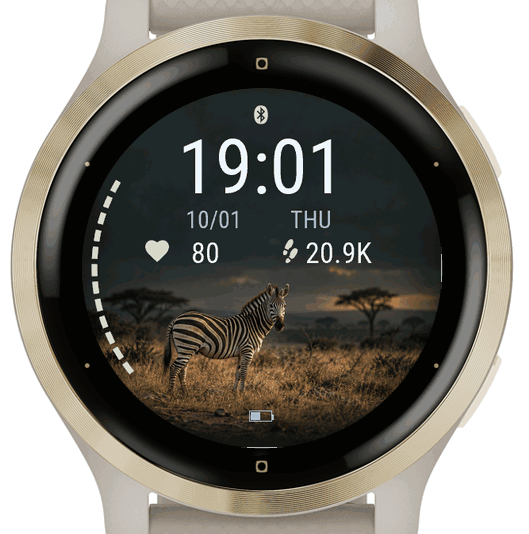 plains zebra · Screenshot 2