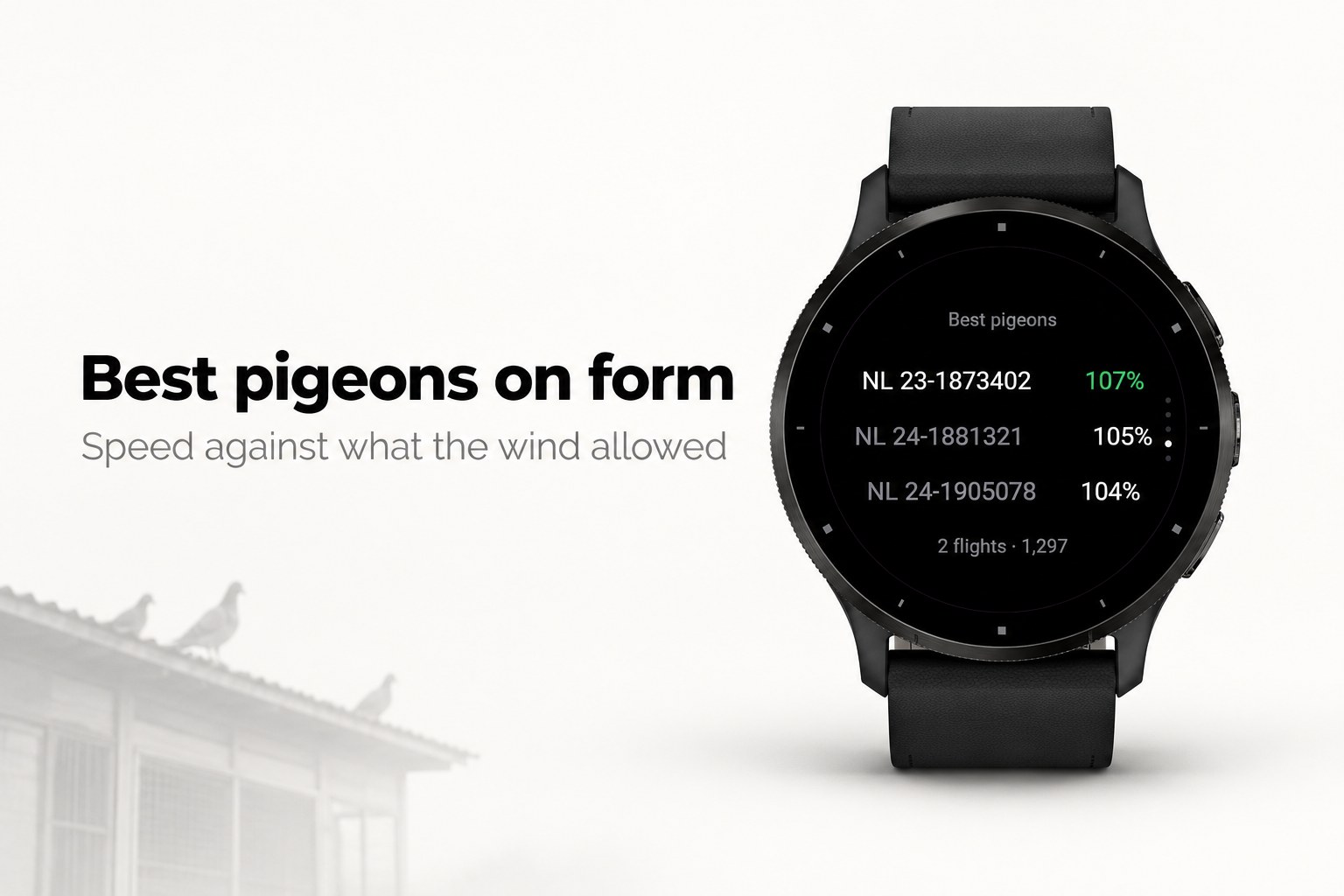 Homing - Pigeon race arrival window · Screenshot 3