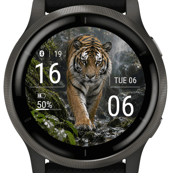 tiger · Screenshot 3