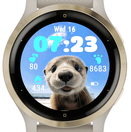 Sunny Otter · G · Screenshot 2