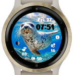 Spotted Seal · Screenshot 0